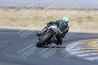 media/May-13-2023-SoCal Trackdays (Sat) [[8a473a8fd1]]/Turn 11 Backside (945am)/